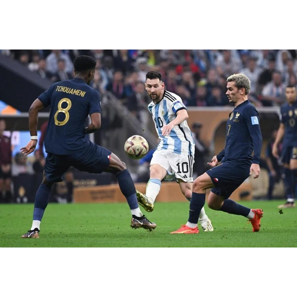开云体育 APP - kaiyun sports